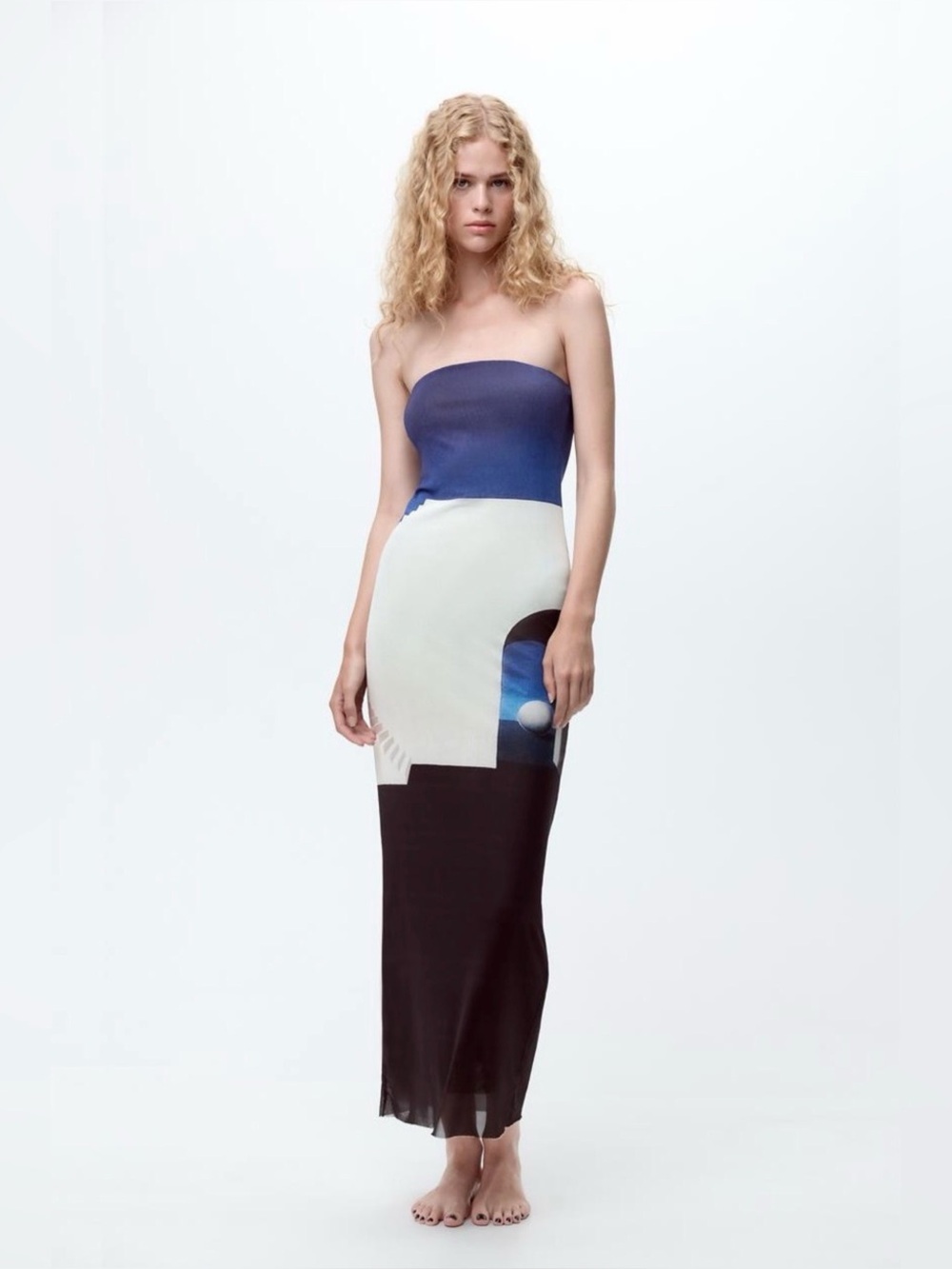 NWOT Zara René Magritte L’Empire Des Lumieres Surrealist Print Tulle Dress